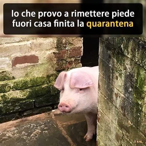 Mi Piace 273 Commenti 8 La Contessa15 Su Instagram Memes