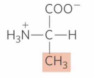 Biochem Amino Acid Groupings Structure Flashcards Quizlet