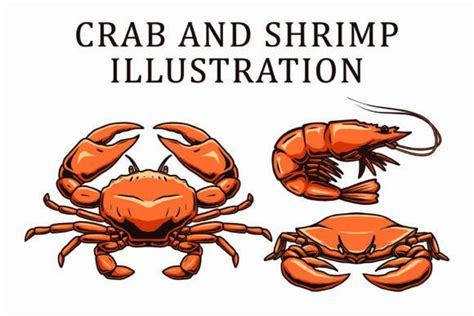 Crab And Shrimp Vector Bundle Graphic By Raulyufitraf Creative Fabrica