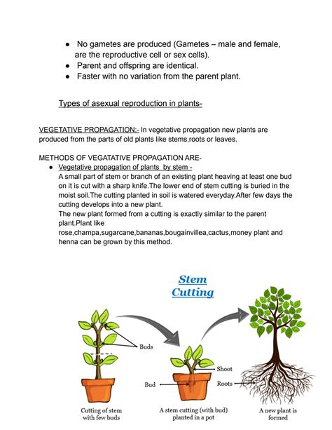 Solution Class 7 Reproduction In Plants Studypool