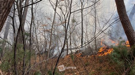 구례 산동면 산불 1시간만에 주불 진화