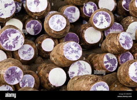 Taro Root