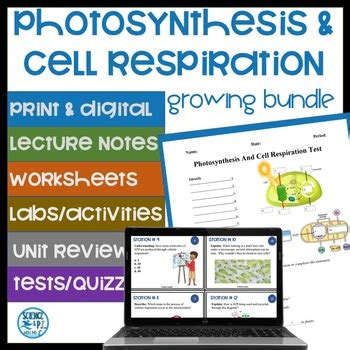 Photosynthesis And Cellular Respiration Unit Growing Bundle Print And