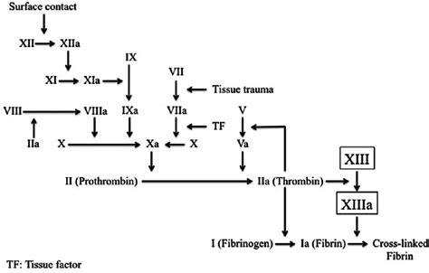 Impact Of Low Coagulation Factor Xiii Activity In Patients With Chronic