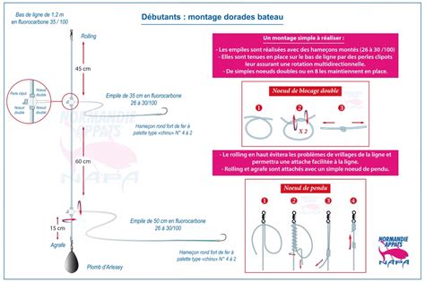 calmezvous Jetée du pont Considérer technique de peche a la dorade