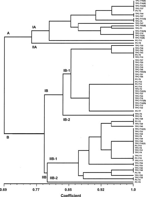 Phylogenetic Tree Constructed Using The Unweighted Pair Group Method