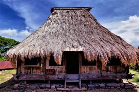 Mengenal Rumah Adat Ntt Sejarah Fungsi Jenis Dan Filosofinya Riset