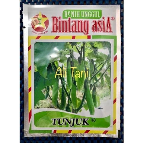 Jual Benih Bibit Terung Terong Hijau Lalap Tunjuk Kemasan Gram