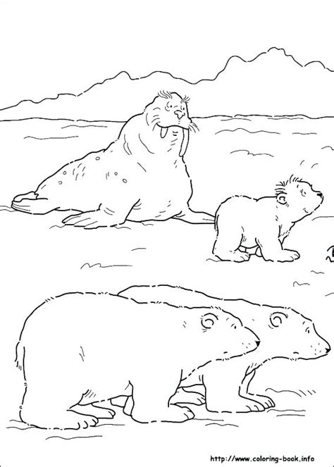 Tundra Animals Coloring Pages at GetColorings.com | Free printable colorings pages to print and ...