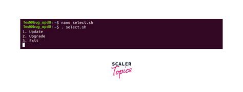 What Is Exec Command In Linux Scaler Topics