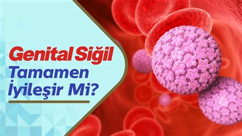 Erkeklerde Genital Si Il Belirtileri Nelerdir Genital Si Il Tamamen