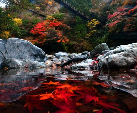 『秋の紅葉情報』 幸せlifeちゃんねる