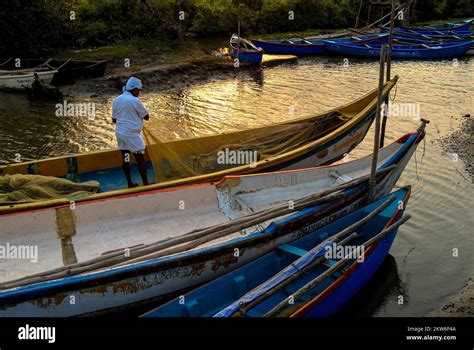 Fishing boats in backwater at Pichavaram mangrove forest, Chidambaram ...