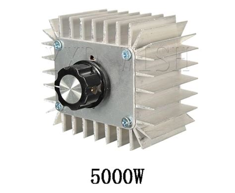 Régulateurs de tension 5000W AC 220V Avec Cache de protection