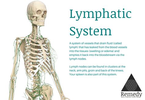 What Is Lymphatic Drainage Massage