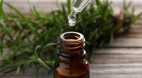 5 Simple Steps for Making Rosemary-Infused Oil from the Garden