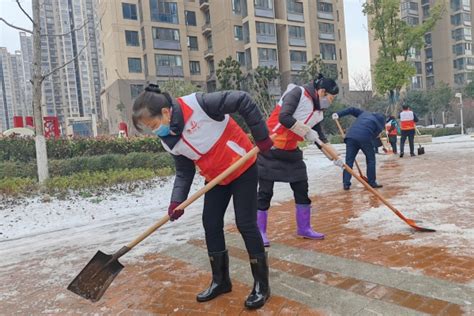 义城街道：用好“三苗”，为基层治理赋能增效 包河先锋网