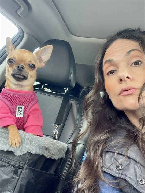 About Famous Chihuahua | The Web's Premier Chihuahua site!