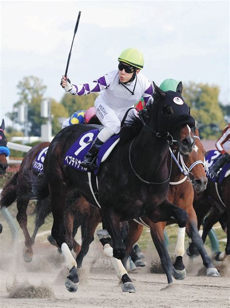 G1初制覇のペプチドナイル、馬名の由来は「大きくて雄大で世界の名馬に」【フェブラリーs・優勝馬アラカルト】：中日スポーツ・東京中日スポーツ