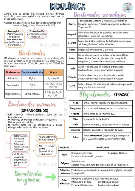 BioquÍmica Décimo Par Craneal Udocz