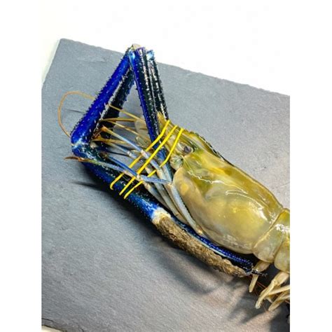 Креветки в Ижевске - Магазин морепродуктов "КРАБ"