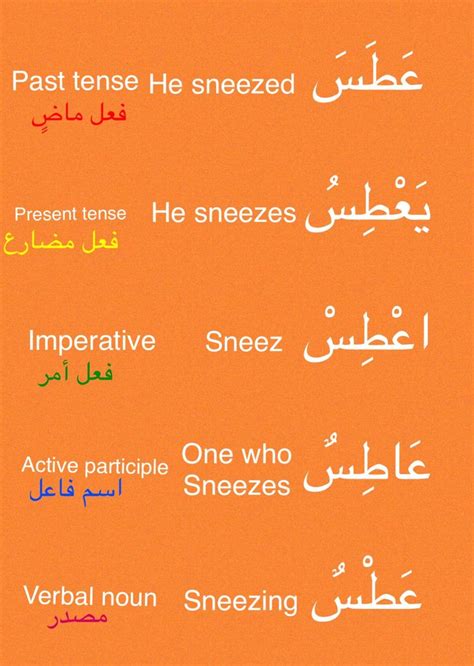 Learning Arabic MSA Fabienne Learn Arabic Language Arabic Language