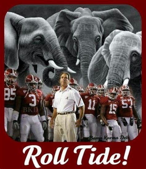 50 best Go Bama Roll Tide images on Pinterest | Alabama crimson tide ...