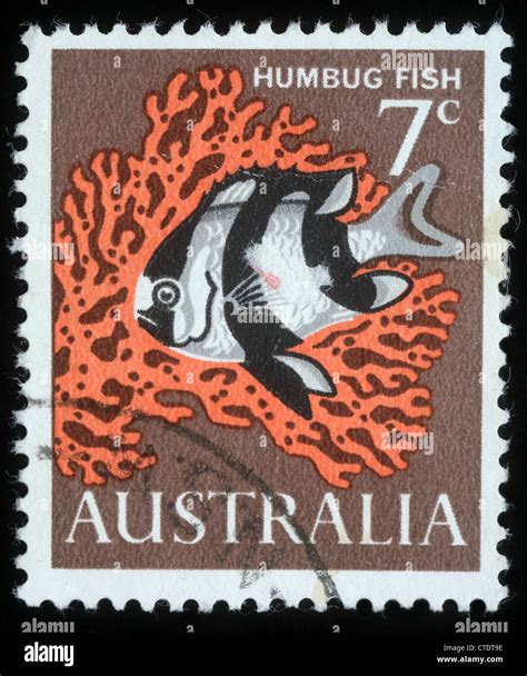 Australia Circa A Stamp Printed In Australia Shows Image Of A