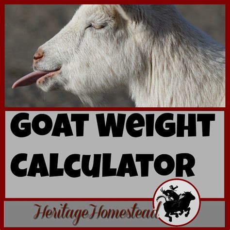 Goat Weight 4 Easy Ways To Weigh Goats Raising Goats Goat Care