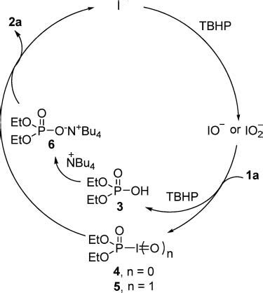 pathway   synthesis  pyrophosphate