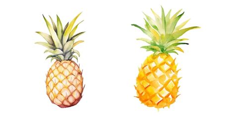 Premium Vector Pineapple Fruit Watercolor Vector Illustration