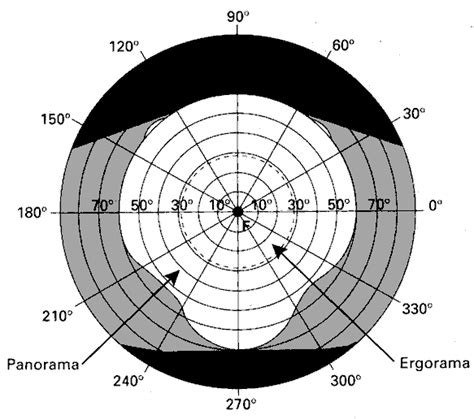 52. Human field of vision [IES84]. White : field simultaneously seen by... | Download Scientific ...