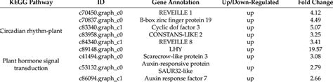 Degs In Circadian Rhythm Plant Pathway And Plant Hormone Signal