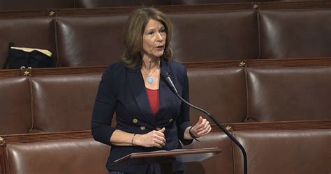 Cheri Bustos stepping down as House Democrats campaign chair