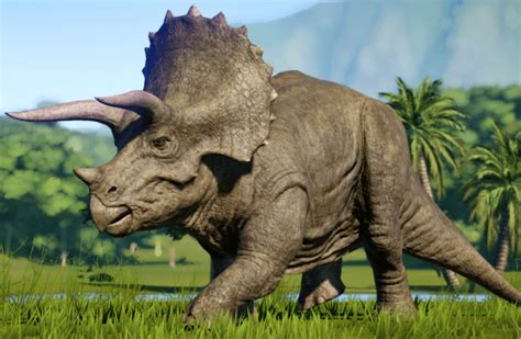 9 Stunning Triceratops Facts For Kids | Only Dinosaurs