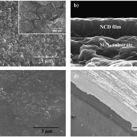 SEM Observations Of The NCD Film On A Si 3 N 4 Ring Substrate A