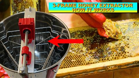 Processing Honey With A Three Frame Honey Extractor Machine Watch How