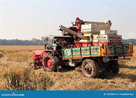 Rice Cutting Machine And Tractor In The Paddy Field Editorial