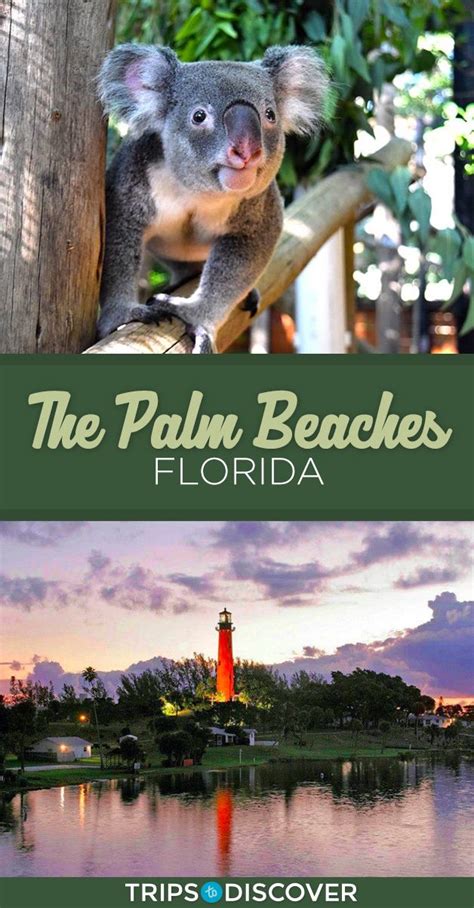 12 Best Things to do in The Palm Beaches, Florida - Trips To Discover ...