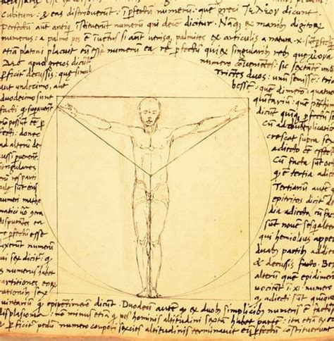 A Inspiração Por Trás Do Homem Vitruviano De Leonardo Da Vinci