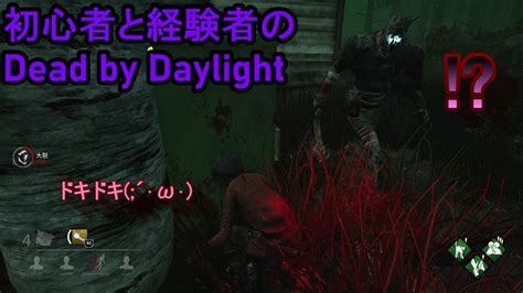 【dead By Daylight】初心者と経験者のデッドバイデイライト 【クルス視点】 Youtube