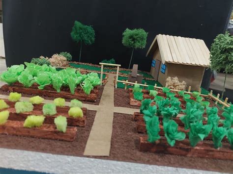 Maqueta De Huerta Escolar