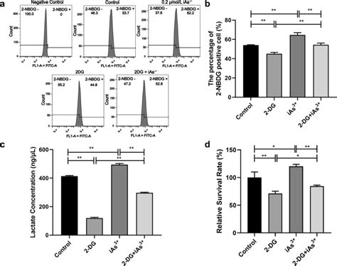 Low Dose Of Ias³⁺ Induced Cell Proliferation By Promoting Aerobic Download Scientific Diagram