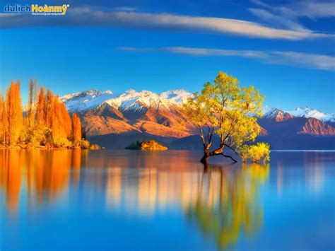 thi tran wanaka thien duong nghi duong dep nhu mong   zealand