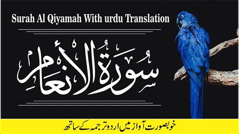 Surah Anam With Urdu Translation Beautiful Voice Tilawat Sorah Al Anam Urdu Tarjuma K Sath