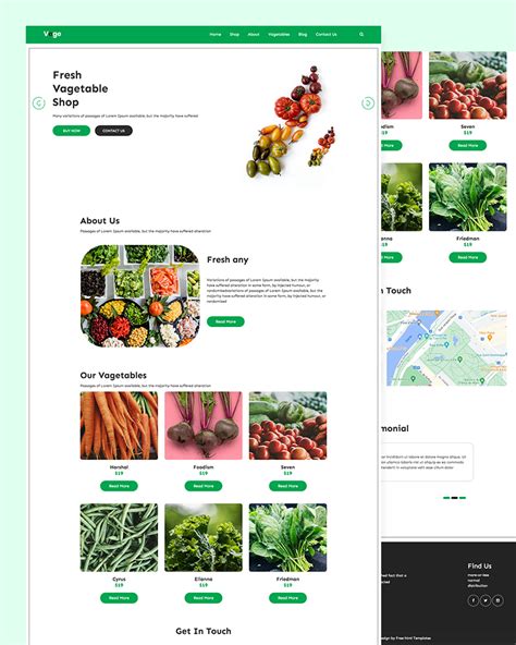 Vege – Fresh Vegetable Shop Template