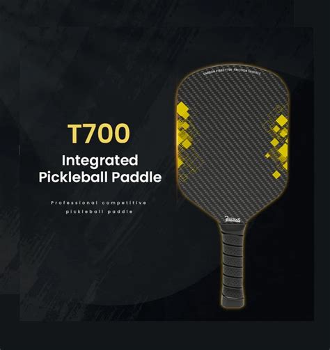 V T Pickleball Beesoul T Integrated