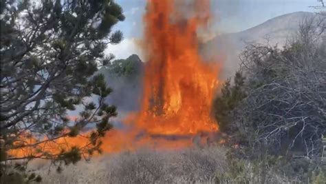 Se Registra Incendio Forestal En Ejido El Diamante En Arteaga Lado Mx