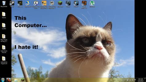 🔥 40 Grumpy Cat Wallpapers For Computer Wallpapersafari