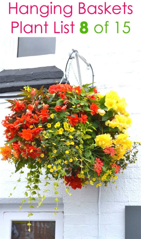 15 Beautiful Flower Hanging Baskets And Best Plant Lists A Piece Of Rainbow